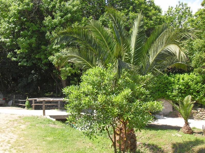 Chambres Le Relais De Sisco Номер фото